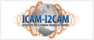 icam-i2cam_logo_border