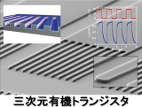 三次元有機トランジスタ