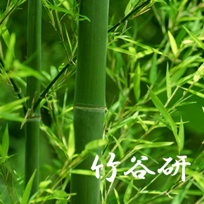 竹谷研イメージ